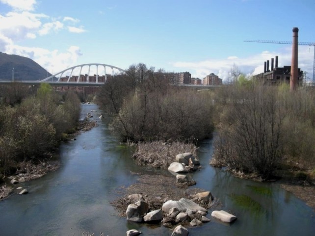 Limpieza de la ribera de los ríos Sil y Boeza, actividades y picnic