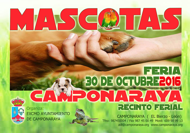 mascotas-2016-camponaraya