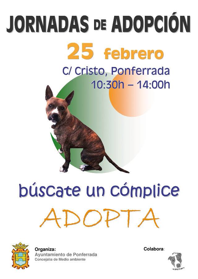 Jornada de adopción de mascotas en Ponferrada 2