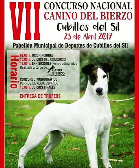 VII Concurso Nacional canino del Bierzo 2