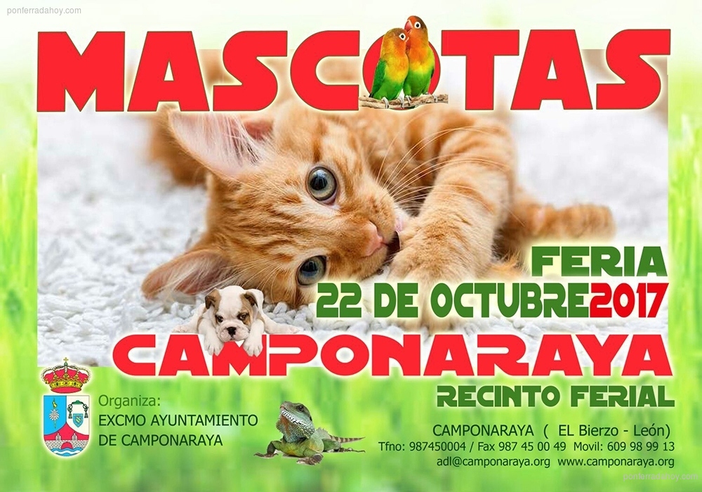 El 22 de octubre las mascotas se encuentran en Camponaraya 2