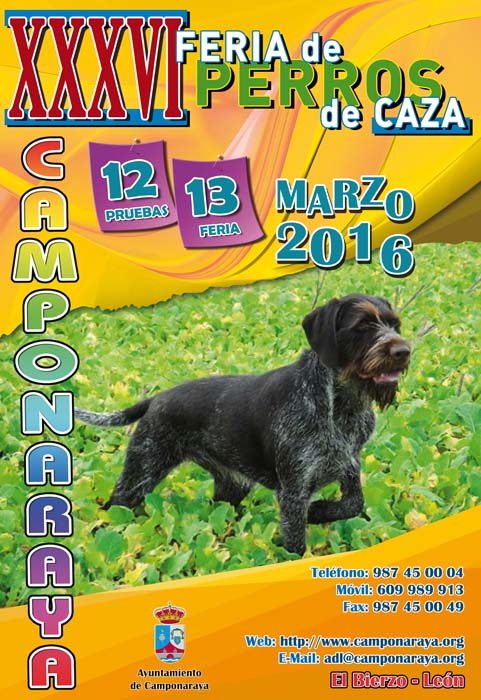 Perros2016Cartel