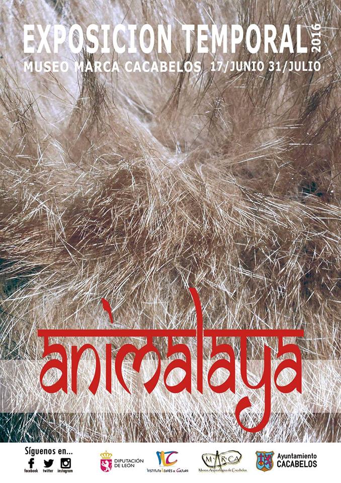 Esposición ANIMALAYA