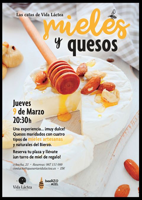 cata de quesos y miel 2