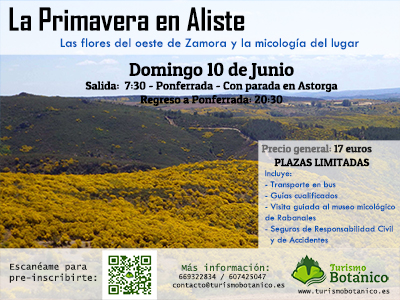 Planes en Ponferrada y el Bierzo para el fin de semana. 8 al 10 de junio 2018 13