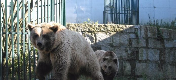 Sitios para visitar con niños en Galicia 13