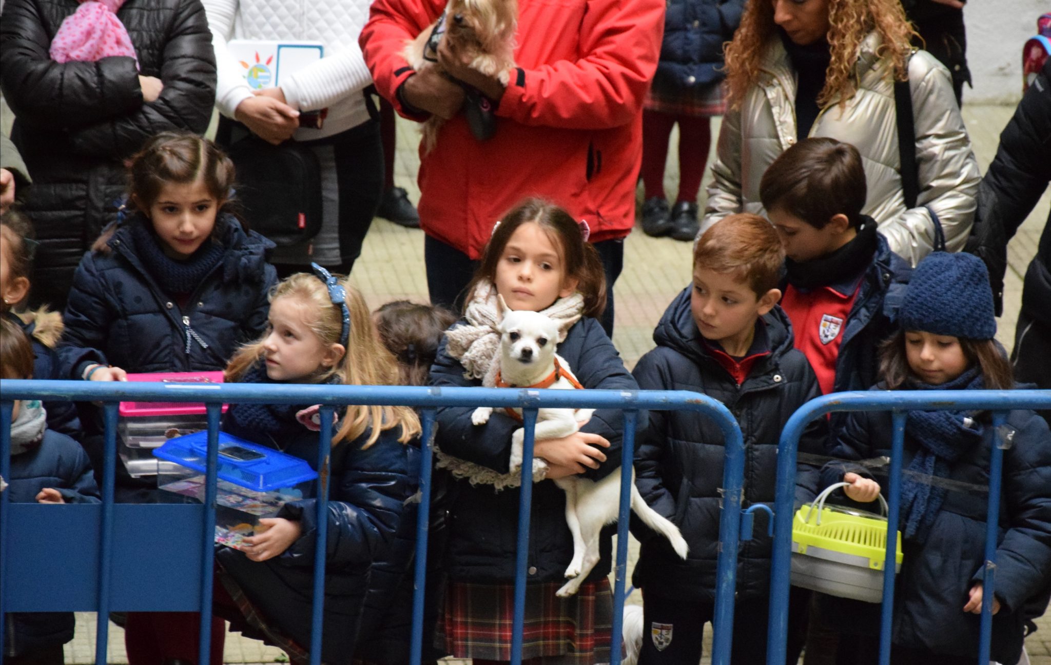 Mascotas y alumnos de San Ignacio celebraron la festividad de San Antón 10