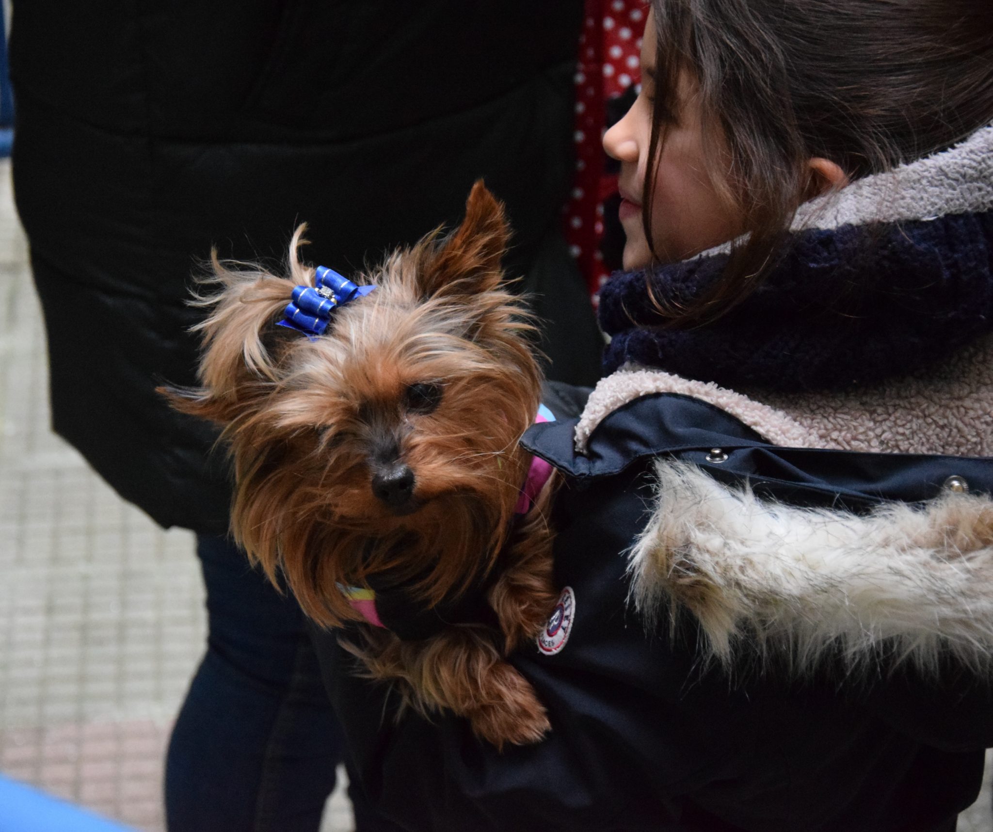 Mascotas y alumnos de San Ignacio celebraron la festividad de San Antón 11