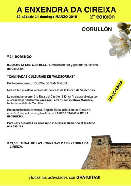 Corullón celebra la "2ª Enxendra da cireixa" con una ruta para disfrutar de la floración de los cerezos y actividades paralelas 4 Corullón celebra la "2ª Enxendra da cireixa" con una ruta para disfrutar de la floración de los cerezos y actividades paralelas 4