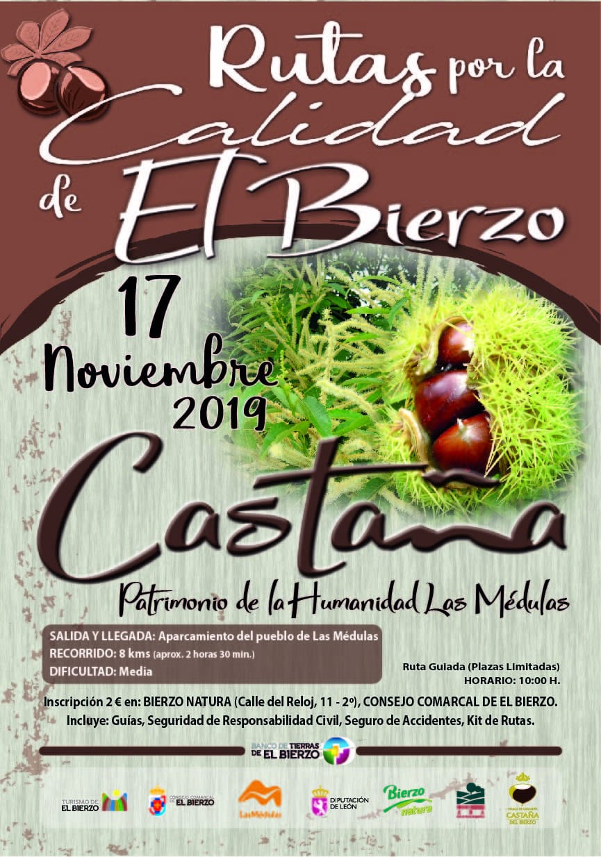 El castaño tiene su merecido homenaje dentro de las Rutas por la Calidad del Bierzo 2