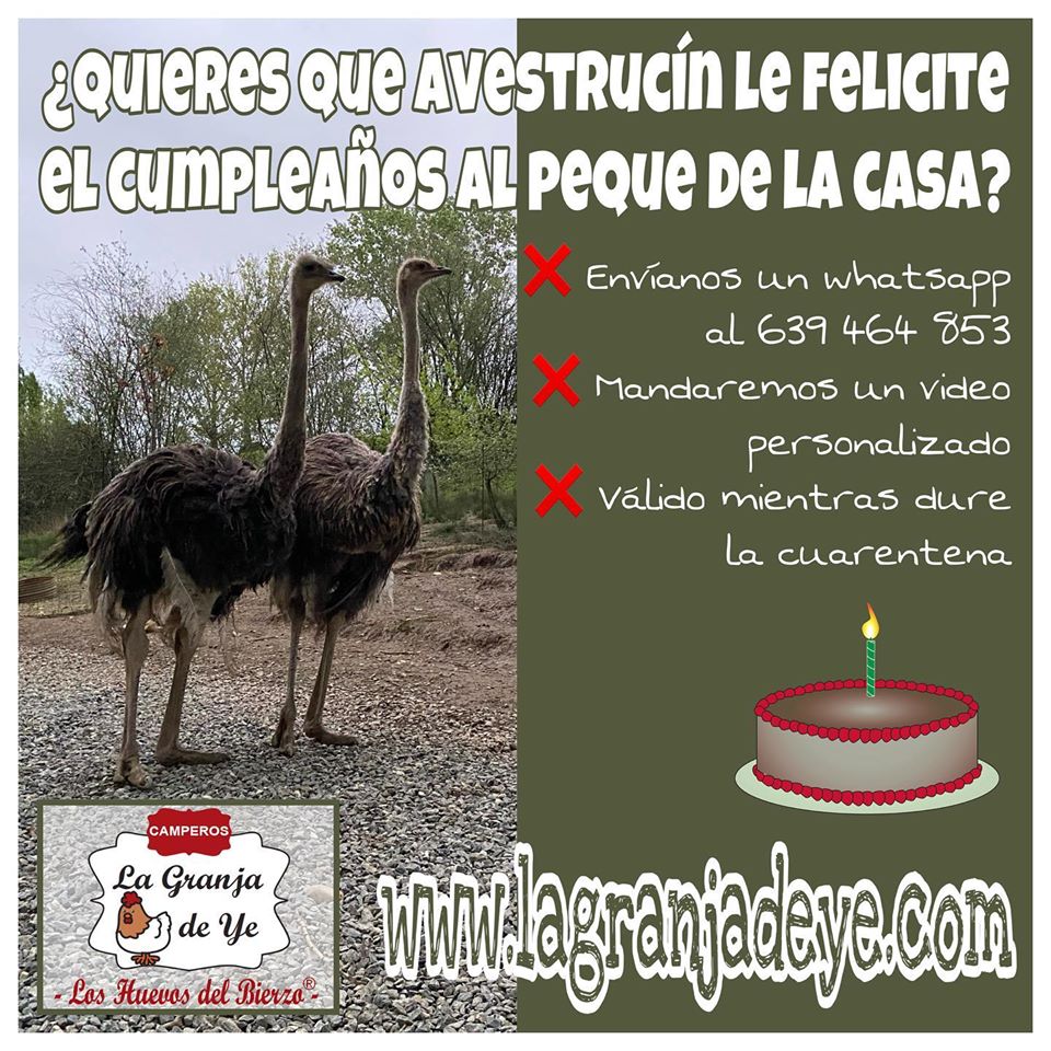 ¿Quieres que un avestruz te felicite el cumpleaños? La divertida iniciativa de 'La Granja de Ye' para los niños 2