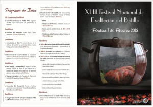 programación 2015-editada